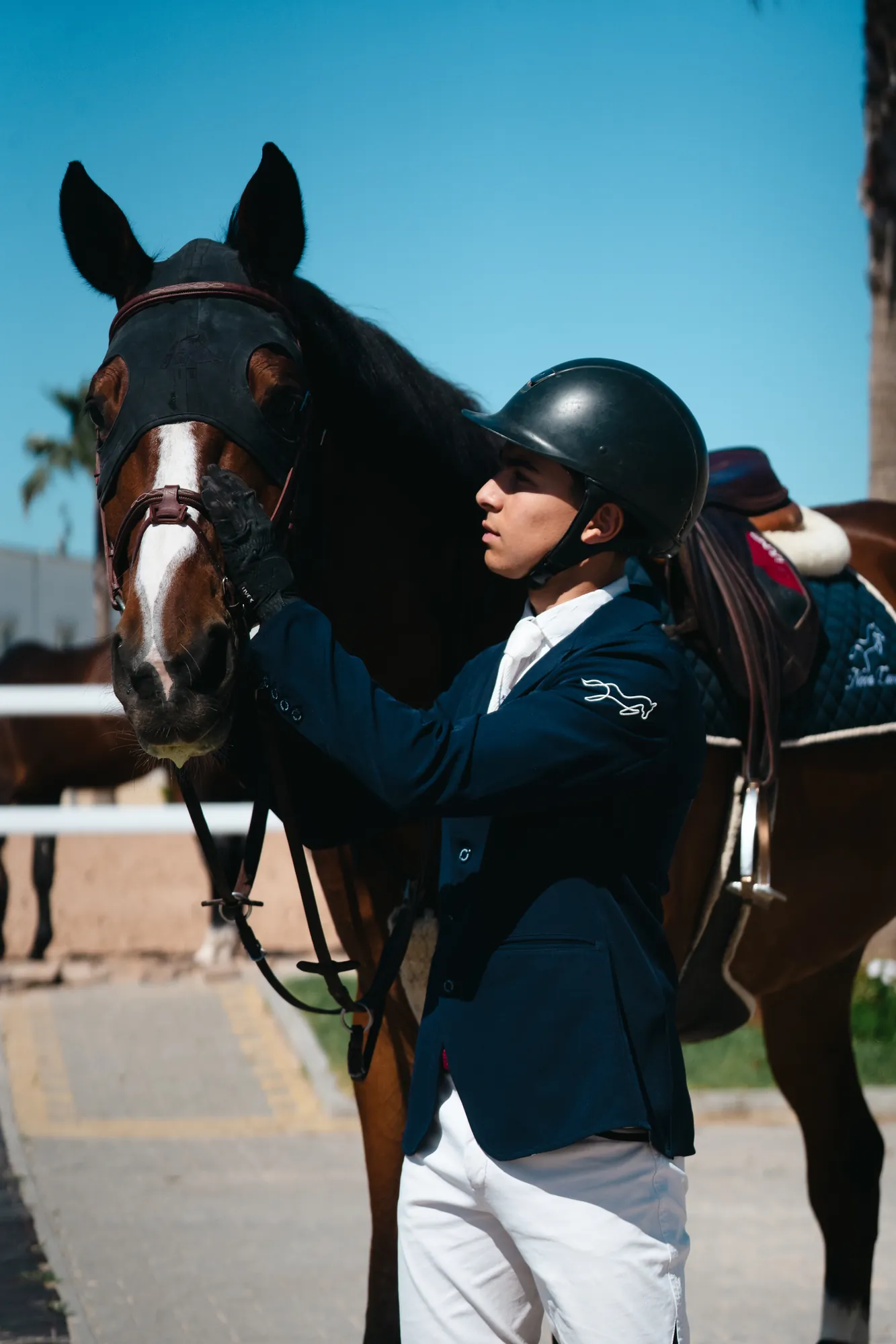 Cavalier et cheval, instant editorial