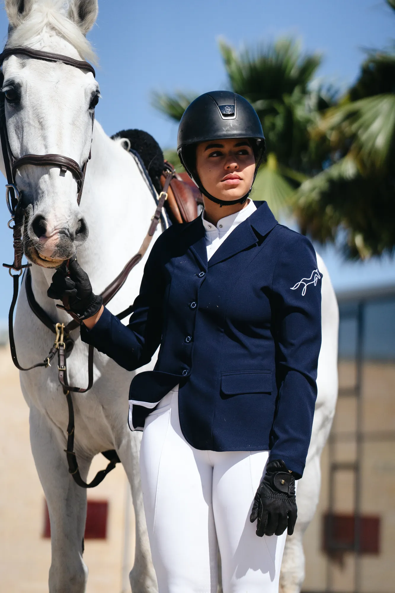 Cavaliere et cheval gris, lumiere du matin