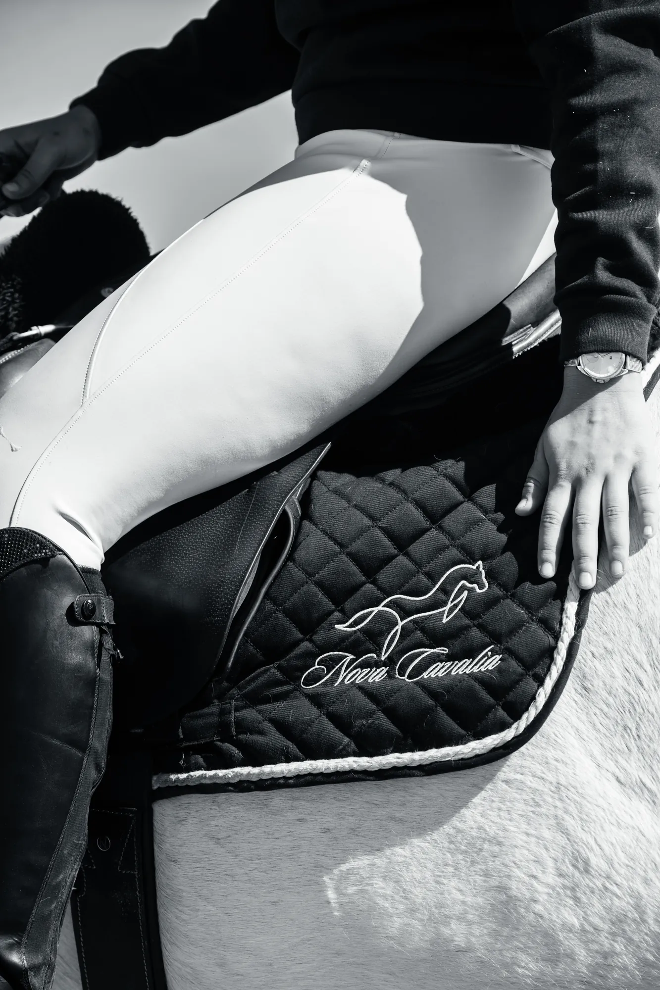Cavaliere en selle, noir et blanc