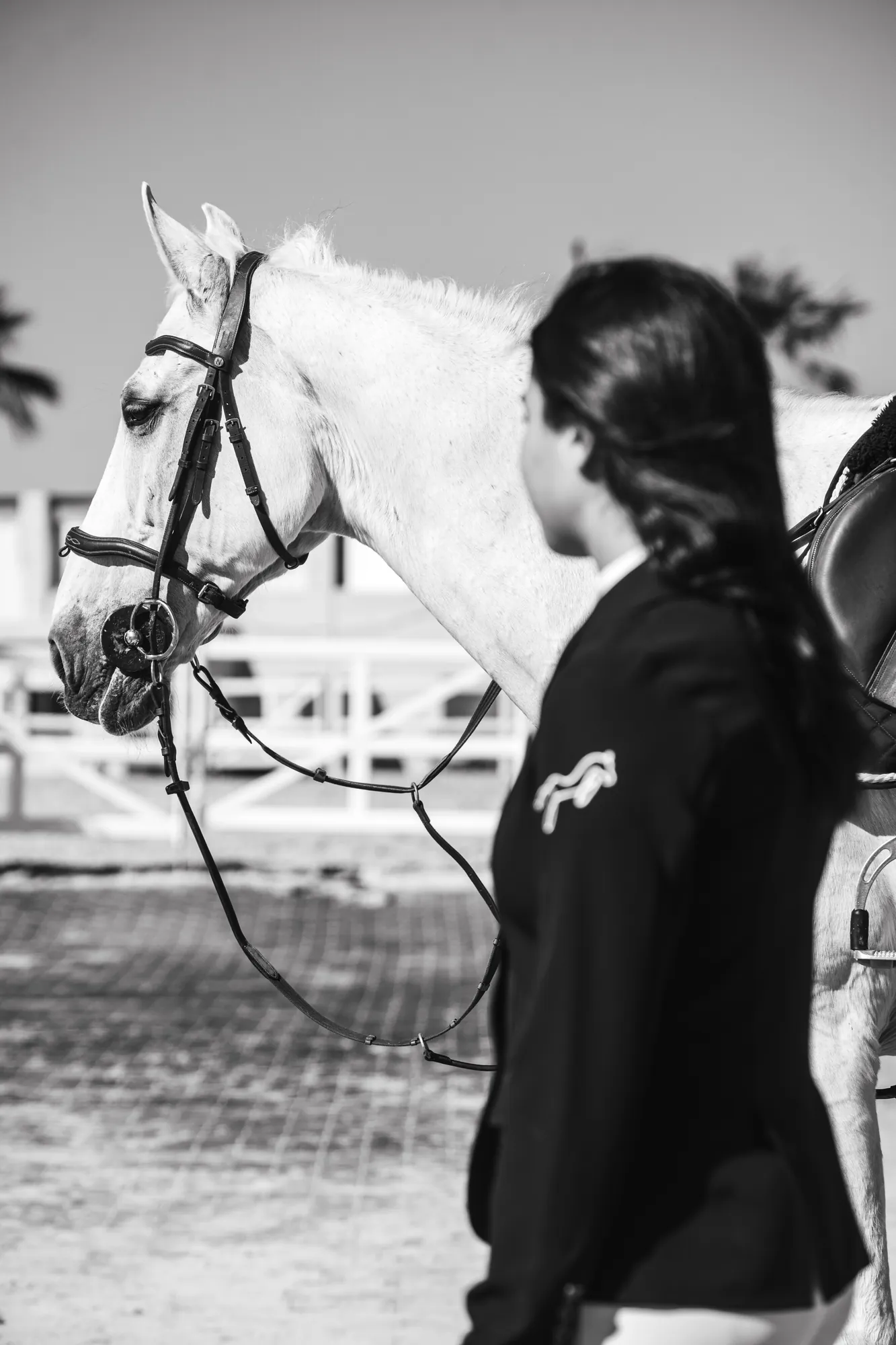Scene d ecurie, cavaliere et cheval